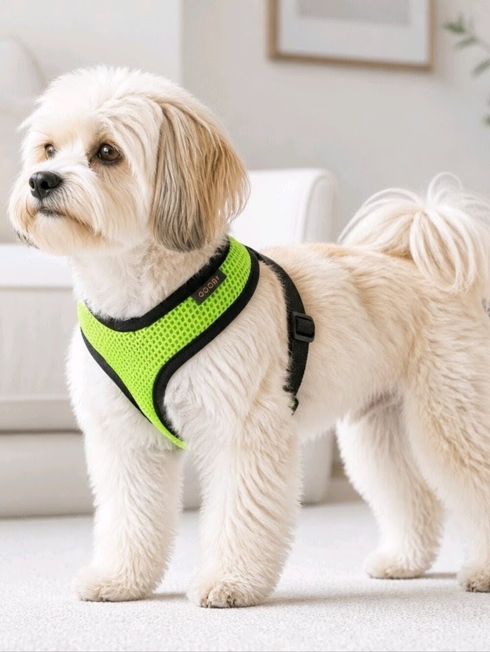 Neon Green Mesh No-Pull Dog Harness with Black Trim #685